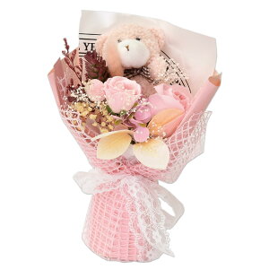 |s[É \[vt[ V{t[  Mtg v[g 2փu[P o ԑ 23cm ʂ NA{bNXt SBL-213 sN