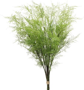 Villa Como tFCNO[ CeAO[ lH ϗtA V V_ ^ 6{ }  Vzj JXj VN NX}X ItBX X  (01V_6{C76CM)