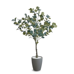 [ URBAN ] tFCNO[ [J 120yb炸͂Ȃǂł A y߂ lHϗtA ztFCN O[ ϗtA ^ lHA A i O[ jEUP-120GY