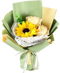 Lakymisy \[vt[ Ђ܂ o ԑ 3 ~j[Yu[P T}[Mtg ԑ Ό̉ ͂Ȃ a j LO ̓Ǝ w ސE 搶̓ hV̓ 蕨