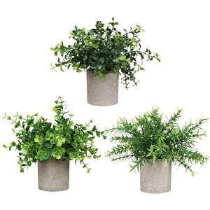 East Leaf tFCNO[ ϗtA ~j A CeA     Mtg 3Zbg