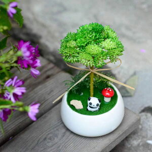 ~jϗtA tFCNO[G} lHϗtA p_ L  L R  킢 CeA tFCN   (p_-A)