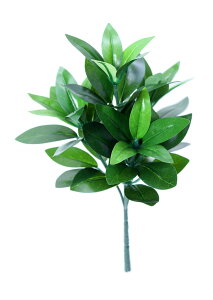 { Ԃ 1{ SSS(S28.5cm) ^h~p nw َdl  AȎ C}Ő`   VLr