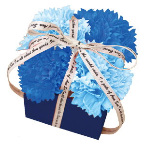 |s[É \[vt[ V{t[  Mtg v[g t[BOX J[l[V {bNX 9cm t S-111 u[