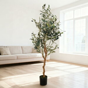 MTKO tFCNO[ϗtA lHϗtA ϗt 150cm  CeA bȂ sṽz[ CeAO[ A   ItBX   茺 Lb`