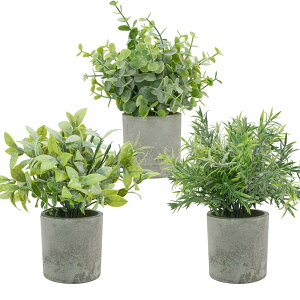 Bacucine tFCNO[ ϗtA tFCN A 3Zbg ~j lHϗtA ԃO[ CeA fake plant lHO[ lHA sv  v[g (1, 3_~bNX)