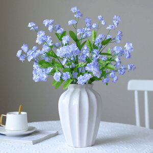 siawadeky  Yȑ 4{Zbg tFCNt[ ͂Ȃ { A[gt[ ԑ  ԍ ϗtA CeA o^Cf[ a ̓ LOi  