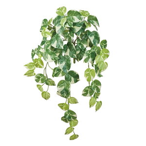 ������(Tokyodo) Deco Green �N�C�[���Y�|�g�X�o�C�� GR/CR FG009190-zzz