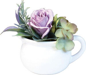 P[ACWp CeAO[ G}  ϗtA u[P PP W11×D10×H12cm (Mtg{bNX) PP