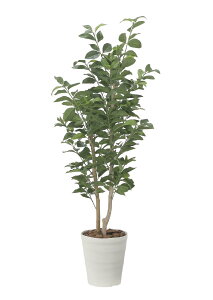 ̊y tFCNO[  ̖1.35m 2523A275