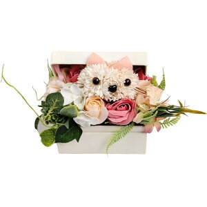 L[t(Q-FLA) \[vt[  Lbg{bNX A ̓ 蕨 Mtg v[g j a AW 776939