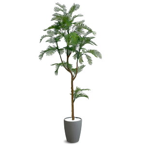 [ URBAN ] tFCNO[ Go[tbV 180y E|sṽCeA lHϗtA ztFCN O[ ϗtA ^ lHA A i O[ jVEVE-180GY