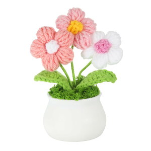 PATIKIL NVFt[ A  ҂ݕ~jApt҂ lH o^CMtgƒItBX e[u ɍœK sNƃzCg F