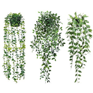 HOTQ tFCNO[ Ǌ| ϗtA tFCN ݂邷 GA[vc  T{e ݂艺  3_Zbg