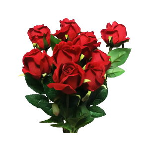 GuCra o KN  10{Zbg ԑ MtgEv[g FLC-1 (bh)