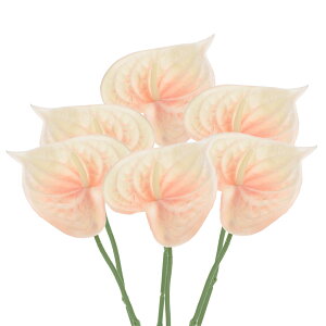 PATIKIL 33 cm lHIȃAXEt[ 6 p[}lgt[ t[AWg ԑ Ƃ̑ uC_  tFXeBop[eB[p CgIW