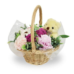 |s[É \[vt[ V{t[  Mtg v[g t[oXPbg o oXPbg 20cm ʂݕt SBL-172 sN