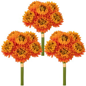 Villa Como e    dp ~j ~ ފ  ͂Ȃ A[gt[ CeAt[ CeAO[ tFCNO[ 3_Zbg (IW)