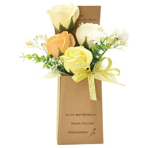 |s[É \[vt[ V{t[  Mtg v[g 4փu[PBOX o {bNX 25cm NAP[Xt SH-044 CG[