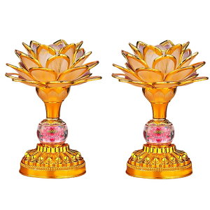 RAYWILL @  @̉  [^X @  LED 7Fω 2Zbg 2WAYdΉ USBEdr ͂͂ d  O @ @v ~   Ɩ (Golden(V^))