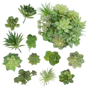 [YOURAKU]ȑA11_ZbgyyEzyɖ̋Ԃz tFCNO[ tFCN[t sv  JtF ϗtA  T{e 