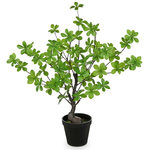 Villa Como tFCNO[ A lHϗtA 55CM hE_ccW CeAO[  ₷ sv Q쏜sv  ƒ ItBX 