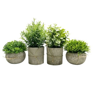 All Trust tFCNO[ ϗtA tFCN   CeA G} Aؔ kG 4_Zbg