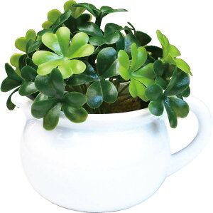 P[ACWp CeAO[ G}  ϗtA N[o[ W11×D10×H14cm (Mtg{bNX) PP