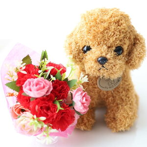 hV̓ v[g lCi fCT[rX { lC Mtg  J[l[V ԑ ʂ݃Zbg 2025 t[Mtg a ԑ u[P \ 蕨  Ej ͂Ȃ