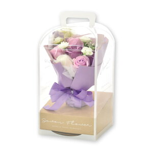 |s[É \[vt[ V{t[  Mtg v[g u[P o ԑ 28cm NAP[Xt SBL-207 p[v