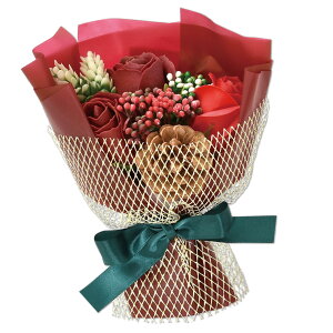 |s[É \[vt[ V{t[  Mtg v[g u[P o ԑ 20cm Mtg{bNXt SBL-205 bh