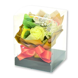 |s[É \[vt[ V{t[  Mtg v[g u[P o ԑ 15cm NAP[Xt SH-042 CG[