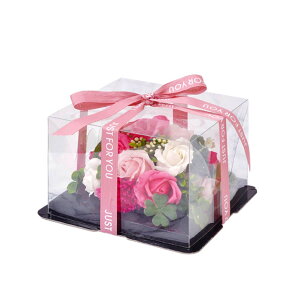 |s[É \[vt[ V{t[  Mtg v[g u[P{bNX o {bNX 21cm {t S-2800 [YsN