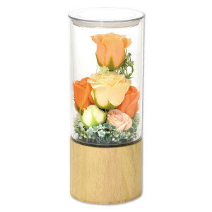 |s[É \[vt[ o h[AW t[Mtg j a v[g ؐt ͂Ȃ ̂܂܏ SH-073 CG[