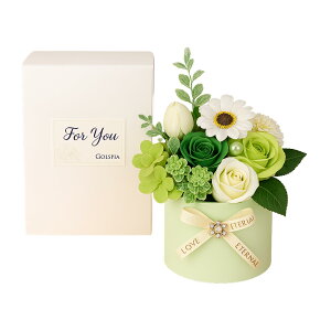 Golspia t[\[v ԑ v[g tFCNt[ CeA Mtg{bNX AWgt[ 