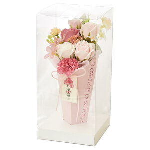 |s[É \[vt[ V{t[  Mtg v[g 6փX^hu[P o ԑ 30cm NAP[Xt SH-049 sN