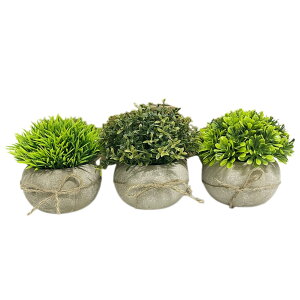 S.T.S.G tFCNO[ 3_Zbg lHϗtA CeA ͂Ȃ  A  sv (Rt)