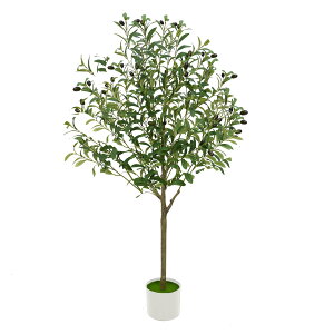 SAGVEiTQrj ϗtA tFCNO[ 120cm lHϗtA  ^G} C   Lb` ItBX A A  I[u