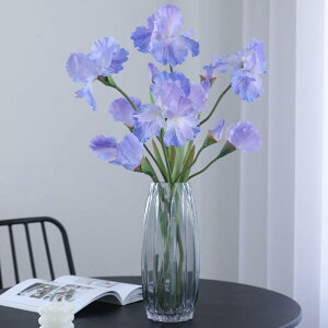 DIFEIUKI  ACX Ԃ傤 2{Zbg  Ƃ߉Ԃ傤 A^b` lHACXt[ { A ͂Ȃ A[gt[ e[uZ^[s[X E