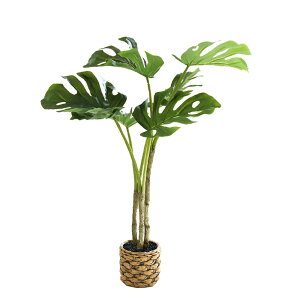 qinhomelHϗtA Mъϗt l G} tFCNO[ tFCN^TCY 65CM ȒPb炸 픫 ͎Os CeA  rO ItBX C (X