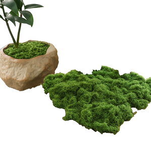 Alpha Depot tFCNX lH 100g WI}p  ~ A 뉀  ϗtA ͌^ fBXvCp (_[NO[)