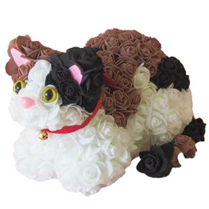 LObY t[Lbg 1 KN  Mtg [YL   OєL ~PlR L̂ʂ g av[g j LD