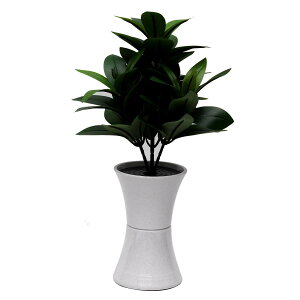 nw ԕrt VLr   S29cm RpNgd ~jdɍœK