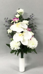 W55048 AA[g mԃR`E Ηp G}t t 1{