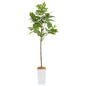 Botanical life+ tFCNO[ ϗtA G} ^ L R V}glR 200cm KV[Y