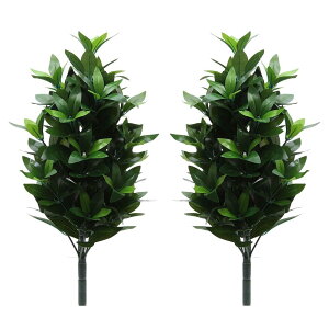 َdl Ԃ 1(2{) MS(S50cm) G}H R L ^h~p Q  AȎ C}Ő`   VLr nw