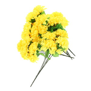 Cabilock 6 n ԑ lH n e  e V~[V e n  ??  n e lH n 