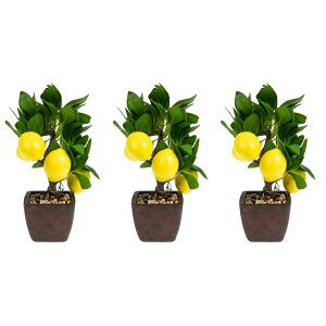 NUOLUX tFCN~3Zbg lHϗtA CeA rO ֗p fXNgbv N₩ŃAȑ