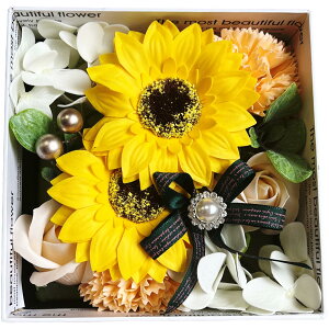 L[t(Q-FLA) \[vt[ oX tOX Ђ܂ {bNX AW AZbg(PU/GR) Mtg v[g  oXPA 762239