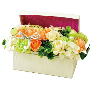 |s[É \[vt[ V{t[  Mtg v[g t[BOX {bNX o 20cm SBL-115 IW